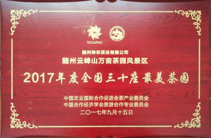 图片9.png