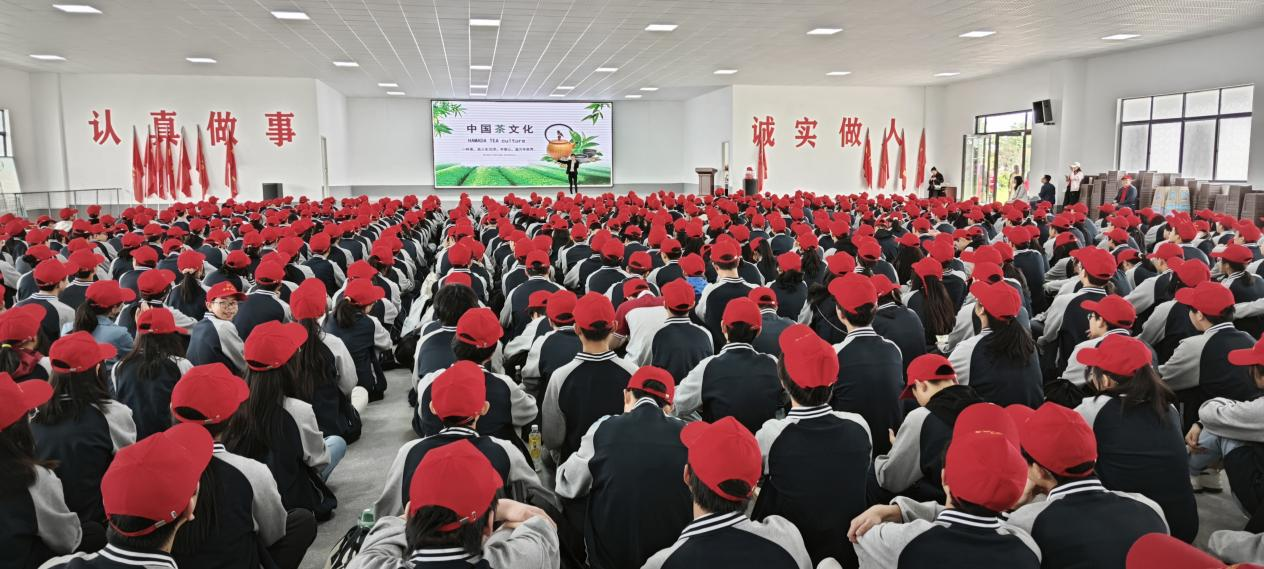 图片13.png